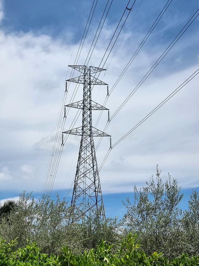 κατακόρυφη απόσταση μεταξύ του πύργου υψηλής τάσης της γραμμής ηλεκτρικής μετάδοσης πάνω από τα δέντρα στοκ εικόνες