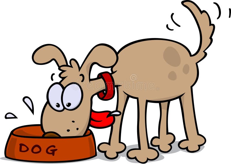 A hungry dog eating from a food bowl, wagging its tail. A hungry dog eating from a food bowl, wagging its tail