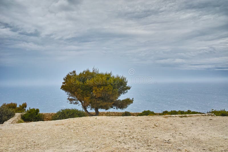 Καταπληκτικό πανόραμα με το δέντρο στο νησί της Ζάκυνθου στοκ εικόνα Καταπληκτικό πανόραμα με το δέντρο στο νησί της Ζάκυνθου στοκ εικόνα