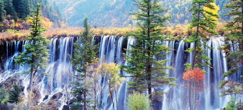 καταρράκτης δέντρων jiuzhaigou φθιν στοκ φωτογραφία με δικαίωμα ελεύθερης χρήσης