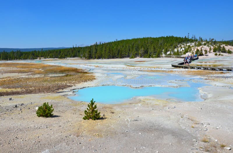 Καυτό ελατήριο σε Yellowstone, Ουαϊόμινγκ στοκ φωτογραφίες με δικαίωμα ελεύθερης χρήσης