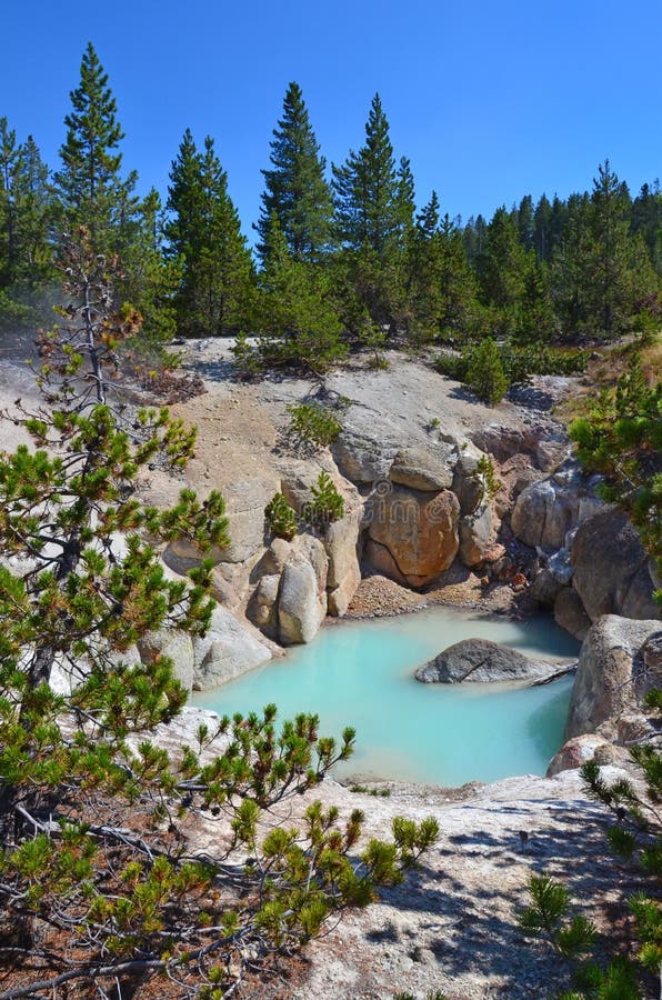 Καυτό ελατήριο σε Yellowstone, Ουαϊόμινγκ στοκ φωτογραφία με δικαίωμα ελεύθερης χρήσης