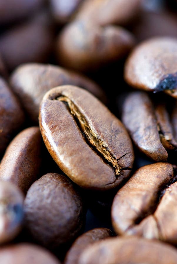 Macro shot of coffee beans. Macro shot of coffee beans