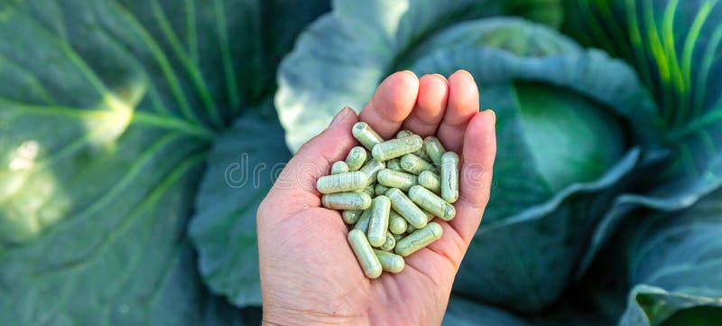 καψάκια sulforaphane σε φόντο λάχανο. επιλεκτική εστίαση. στοκ εικόνες