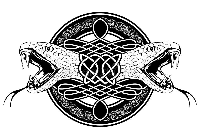 The vector image of head of snake and Celtic patterns. The vector image of head of snake and Celtic patterns
