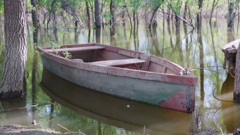 Κενή ξύλινη βάρκα στη λίμνη μεταξύ των δέντρων απόθεμα βίντεο