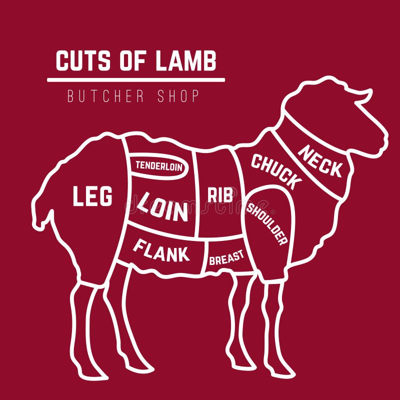 Lamb or mutton cuts diagram. Butcher shop. Vector illustration. Lamb or mutton cuts diagram. Butcher shop. Vector illustration