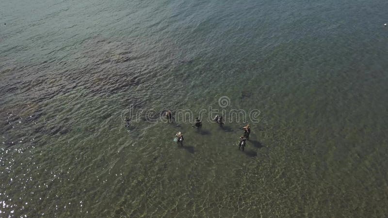 κεραία : ομάδα αυτοδύτων που εκπαιδεύονται στέκεται σε ρηχά νερά.