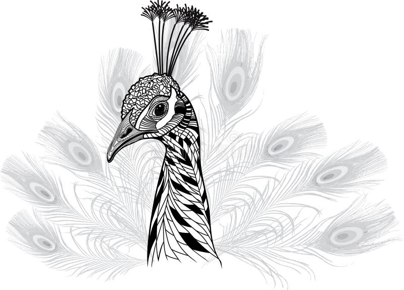 Κεφάλι πουλιών Peacock ως σύμβολο για το σχέδιο μασκότ ή εμβλημάτων απεικόνιση αποθεμάτων