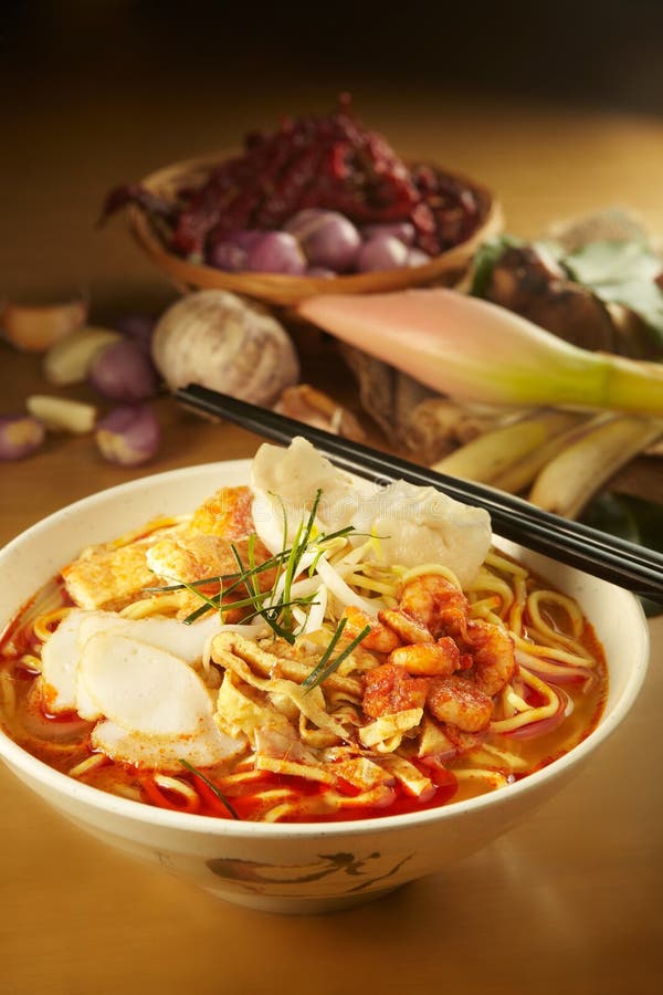 Κεφάλη Laksa κάρρυ στοκ φωτογραφία με δικαίωμα ελεύθερης χρήσης