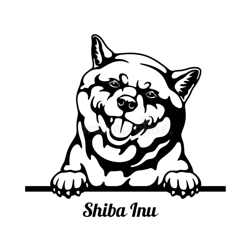 κεφαλή σκύλου peeking shiba απομονωμένο σε λευκό διανυσματική απεικόνιση