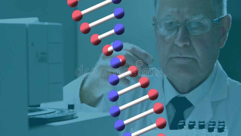 Κινούμενα σχέδια πάνω από καυκάσιους άνδρες επιστήμονες που εργάζονται στο εργαστήριο απόθεμα βίντεο