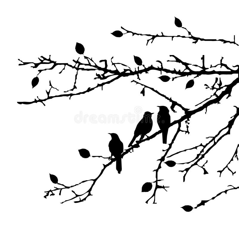 Illustration of branches with birds. Illustration of branches with birds