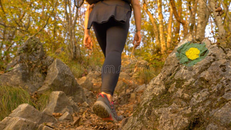 CLOSE UP, DOF: Unrecognizable female hiker carries her puppy in a backpack while walking up a forest trailed marked with trekking symbols. Fit young woman is hiking in the scenic autumn colored woods. CLOSE UP, DOF: Unrecognizable female hiker carries her puppy in a backpack while walking up a forest trailed marked with trekking symbols. Fit young woman is hiking in the scenic autumn colored woods.