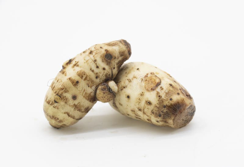 Closeup fresh taro root or Arbi on white background, it's have full on calcium and iron. Closeup fresh taro root or Arbi on white background, it's have full on calcium and iron.