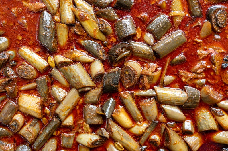 Κλείσιμο του Μπανάνα Stem Curry ή του Gulai Batang Pisang. Μαλαισιανό φαγητό. Μαλαισιανές λιχουδιές στοκ εικόνα