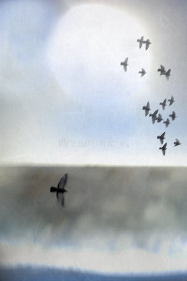 Illustration of birds in flight over an abstract landscape of sea, shore, and light. Open space as the true aviary. Illustration of birds in flight over an abstract landscape of sea, shore, and light. Open space as the true aviary.