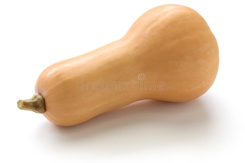 Κολοκύνθη Butternut στοκ εικόνα με δικαίωμα ελεύθερης χρήσης