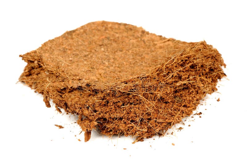 A piece of coconut coir brick (used as a growing medium or soil amendment) isolated on a white background. A piece of coconut coir brick (used as a growing medium or soil amendment) isolated on a white background