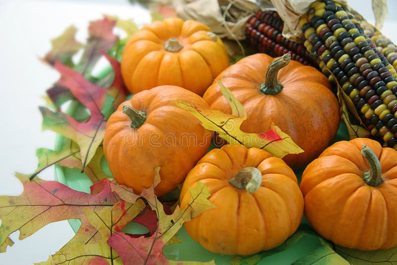 Pumpkins and indian corn with autum leaves. Pumpkins and indian corn with autum leaves