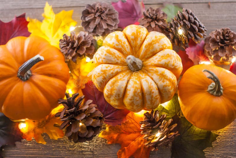 2 orange pumpkins, 1 orange and white pumpkin surrounded by pine cones, red, orange, yellow, and green leaves with lights on a wood background. 2 orange pumpkins, 1 orange and white pumpkin surrounded by pine cones, red, orange, yellow, and green leaves with lights on a wood background