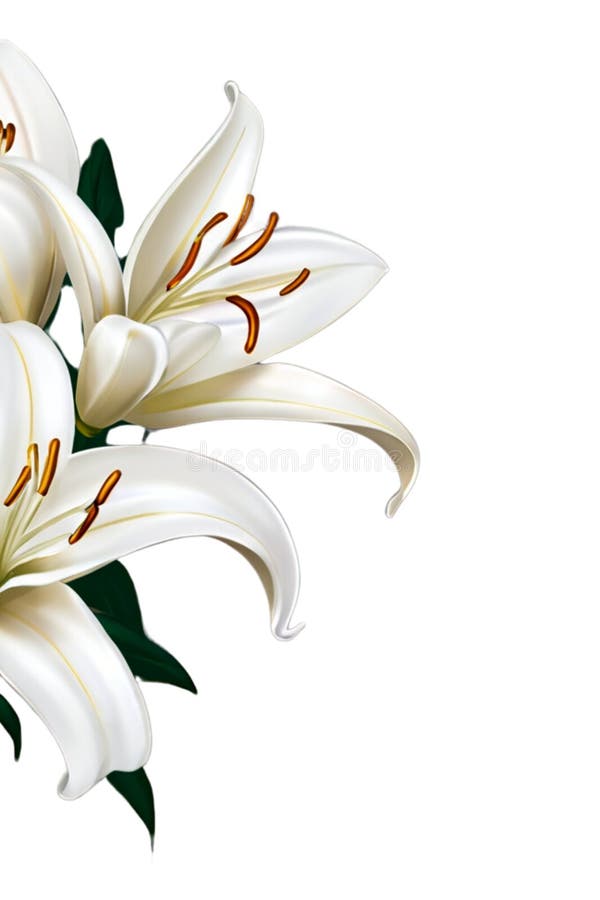 Delight in the timeless beauty of white lilies in this exquisite illustration, gracefully cascading along the side of the canvas. Each delicate petal is meticulously rendered, capturing the lilies' ethereal charm and natural elegance. With a transparent background, this illustration seamlessly integrates into any design, adding a touch of sophistication and grace to your creative projects. Delight in the timeless beauty of white lilies in this exquisite illustration, gracefully cascading along the side of the canvas. Each delicate petal is meticulously rendered, capturing the lilies' ethereal charm and natural elegance. With a transparent background, this illustration seamlessly integrates into any design, adding a touch of sophistication and grace to your creative projects.