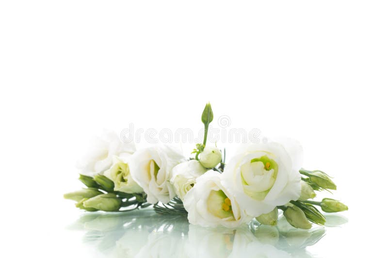 κομψό μπουκέτο eustoma σε ανοιχτό φόντο στοκ φωτογραφία