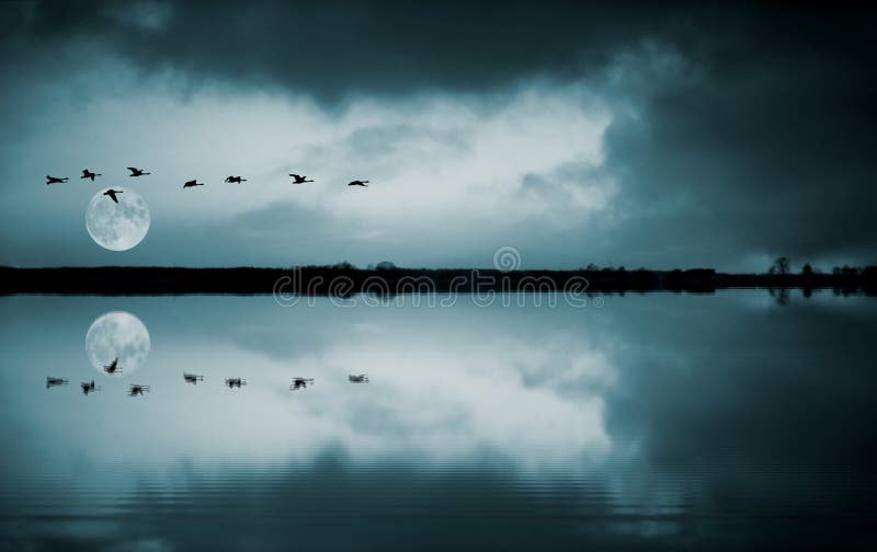 Full moon and flying birds reflecting in water. Full moon and flying birds reflecting in water