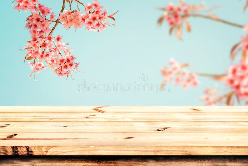 Κορυφή του ξύλινου πίνακα με το ρόδινο sakura λουλουδιών ανθών κερασιών στην εποχή υποβάθρου ουρανού την άνοιξη στοκ φωτογραφία με δικαίωμα ελεύθερης χρήσης