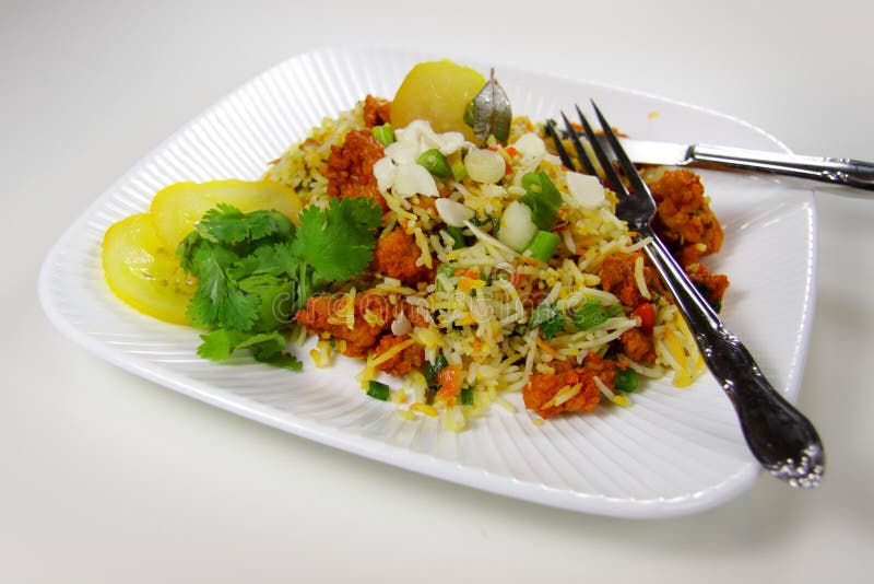 κοτόπουλο biryani στοκ φωτογραφία με δικαίωμα ελεύθερης χρήσης