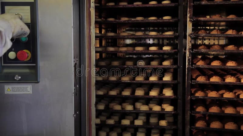 Κουλούρια που ψήνονται στο φούρνο στη βιομηχανία παραγωγής αρτοποιείων, δύο συσκευές με απόθεμα βίντεο