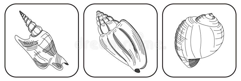Clipart with three shells on white background. Clipart with three shells on white background