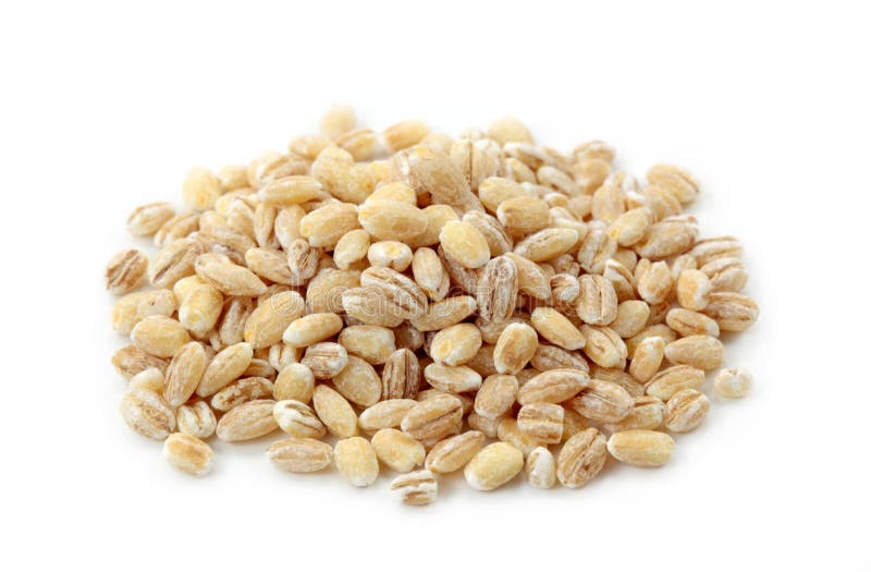 Barley isolated on white background. Barley isolated on white background