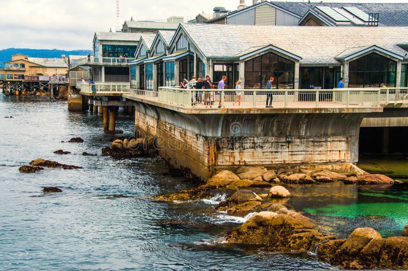 Κτήριο ενυδρείων κόλπων Monterey στοκ εικόνα Κτήριο ενυδρείων κόλπων Monterey στοκ εικόνα