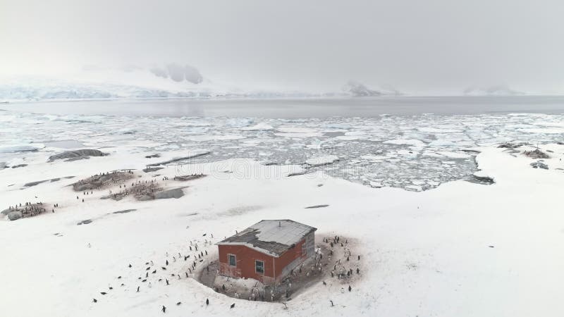 Κτήριο σταθμών της Ανταρκτικής που περιβάλλεται από τα penguins