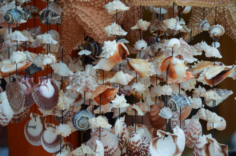 Shell wind chimes in a shop in Progreso, Mexico. Shell wind chimes in a shop in Progreso, Mexico.