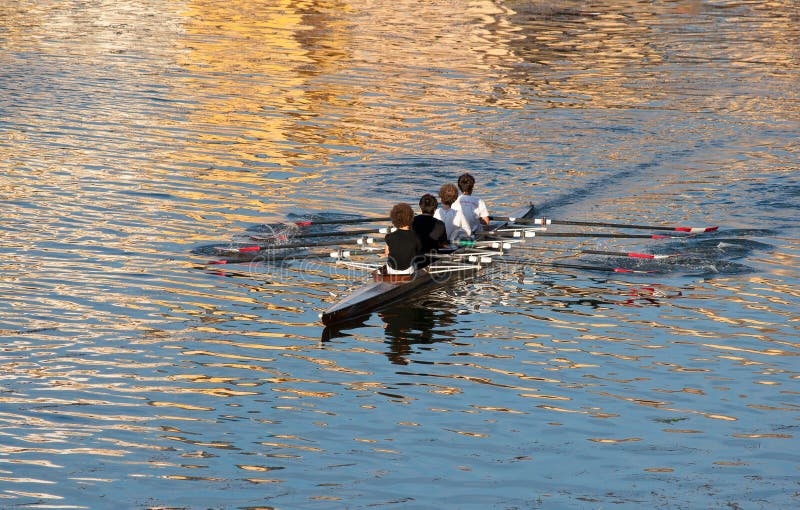 Rowing team on river Arno in Florence Italy prepare for training... Rowing, often referred to as crew in the United States,[1] is a sport with origins back to Ancient Egyptian times. It is based on propelling a boat (racing shell) on water using oars. By pushing against the water with an oar, a force is generated to move the boat. The sport can be either recreational - focusing on learning the technique of rowing, or competitive - where athletes race against each other in boats.[2] There are a number of different boat classes in which athletes compete, ranging from an individual shell (called a single scull) to an eight person shell with coxswain (called a coxed eight. Rowing team on river Arno in Florence Italy prepare for training... Rowing, often referred to as crew in the United States,[1] is a sport with origins back to Ancient Egyptian times. It is based on propelling a boat (racing shell) on water using oars. By pushing against the water with an oar, a force is generated to move the boat. The sport can be either recreational - focusing on learning the technique of rowing, or competitive - where athletes race against each other in boats.[2] There are a number of different boat classes in which athletes compete, ranging from an individual shell (called a single scull) to an eight person shell with coxswain (called a coxed eight