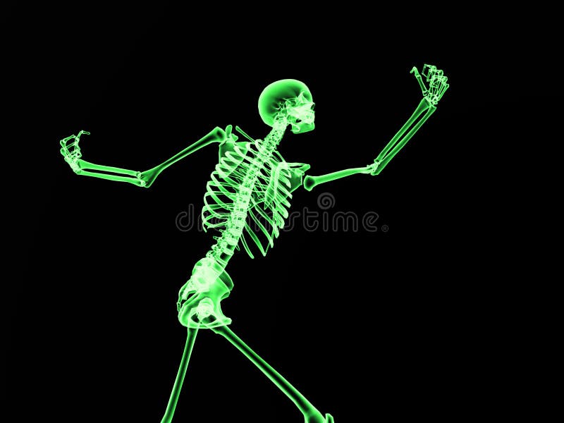 An image of an xray of a skeleton, a good Halloween or possible medical based image. An image of an xray of a skeleton, a good Halloween or possible medical based image.