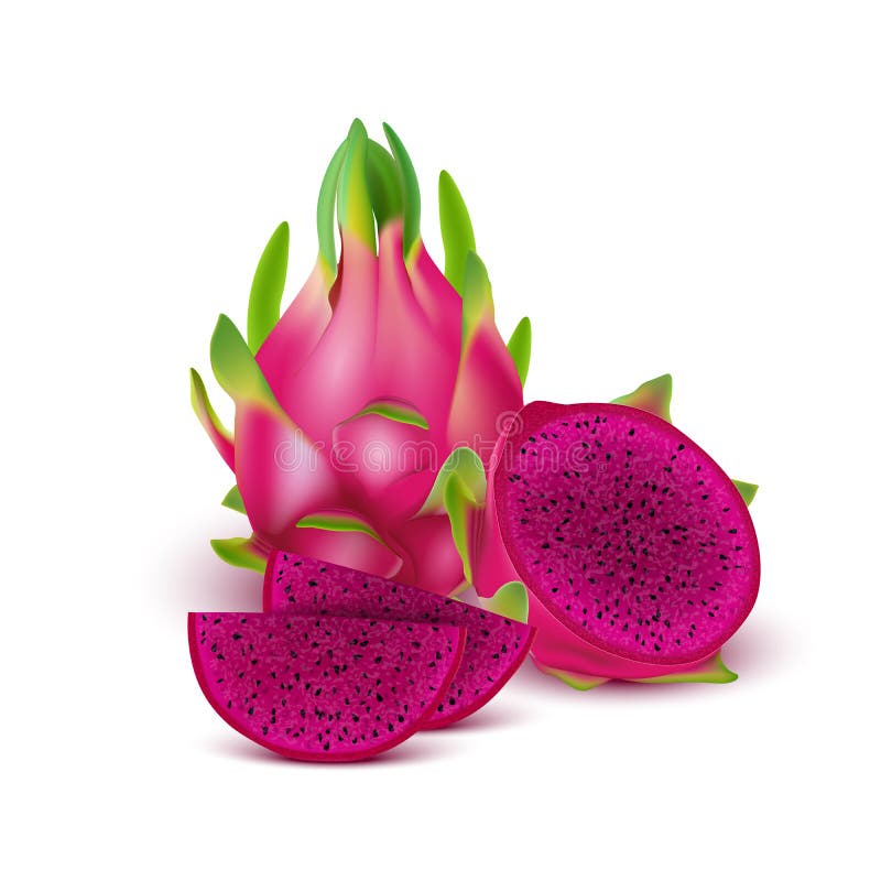 Red dragon fruit, whole fruit and half. Tropical fruits for healthy lifestyle. Realistic 3d Design Element For Web Or Print Packaging. Vector Illustration. Red dragon fruit, whole fruit and half. Tropical fruits for healthy lifestyle. Realistic 3d Design Element For Web Or Print Packaging. Vector Illustration