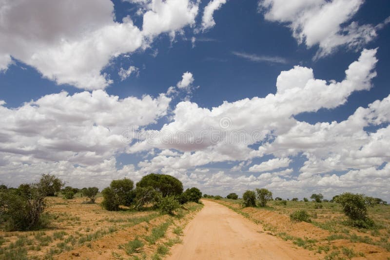 Κόκκινη διαδρομή γήινου ρύπου, Tsavo εθνικό πάρκο, Κένυα στοκ εικόνες Κόκκινη διαδρομή γήινου ρύπου, Tsavo εθνικό πάρκο, Κένυα στοκ εικόνες