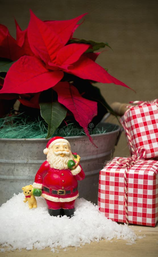 Κόκκινη ζωή λουλουδιών poinsettia ακόμα στοκ εικόνες Κόκκινη ζωή λουλουδιών poinsettia ακόμα στοκ εικόνες