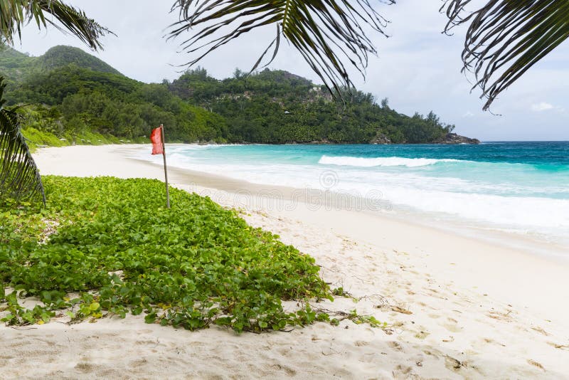 Κόκκινη σημαία στην πρόθεση Anse, Mahe, Σεϋχέλλες στοκ εικόνα με δικαίωμα ελεύθερης χρήσης Κόκκινη σημαία στην πρόθεση Anse, Mahe, Σεϋχέλλες στοκ εικόνα με δικαίωμα ελεύθερης χρήσης