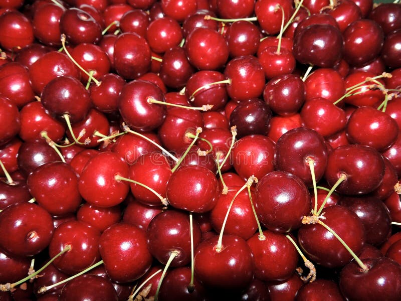 Κόκκινο γλυκό yummy juicy κεράσι στοκ εικόνες Κόκκινο γλυκό yummy juicy κεράσι στοκ εικόνες