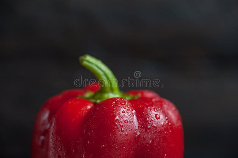 Red sweet pepper on a dark background. Fresh whole red bell pepper with droplets of water. Soft selective focus. Red sweet pepper on a dark background. Fresh whole red bell pepper with droplets of water. Soft selective focus