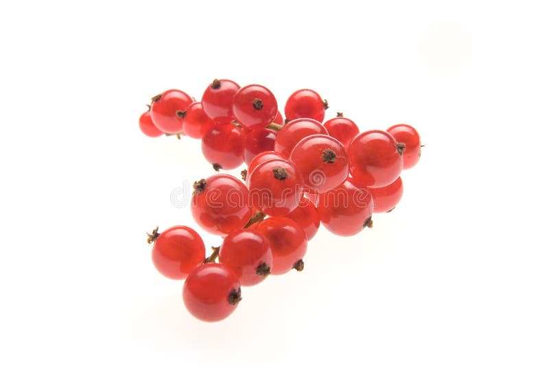 Κόκκινο φραγκοστάφυλο σε λευκό στοκ φωτογραφίες