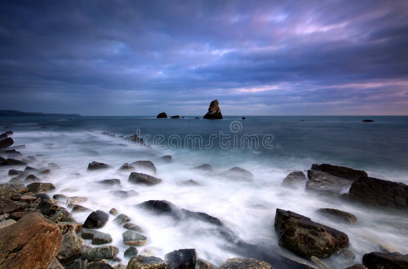 κόλπος Dorset mupe στοκ εικόνες κόλπος Dorset mupe στοκ εικόνες