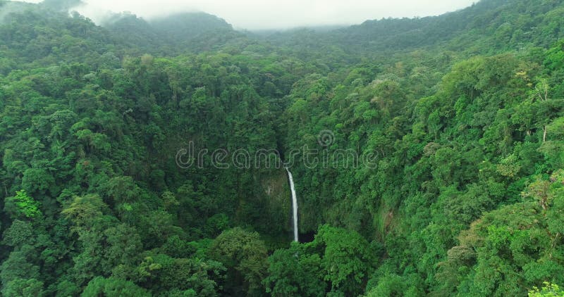 κόστα ρίκα λα ριούρι καταρράκτης σε ένα εκπληκτικό τροπικό δάσος φυσικό τοπίο. βίντεο από εναέρια drone