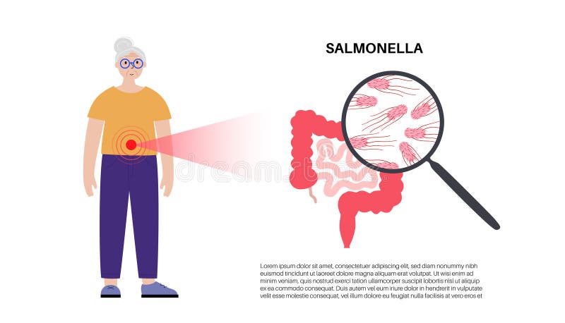 κύτταρα salmonella typhimurium απεικόνιση αποθεμάτων