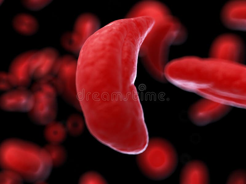 3d rendered medically accurate illustration of sickle cells. 3d rendered medically accurate illustration of sickle cells