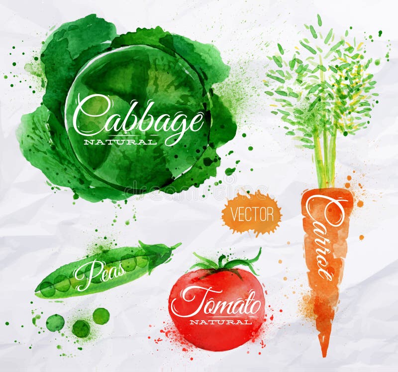 Vegetables set drawn watercolor blots and stains with a spray cabbage, carrot, tomato, peas. Vegetables set drawn watercolor blots and stains with a spray cabbage, carrot, tomato, peas